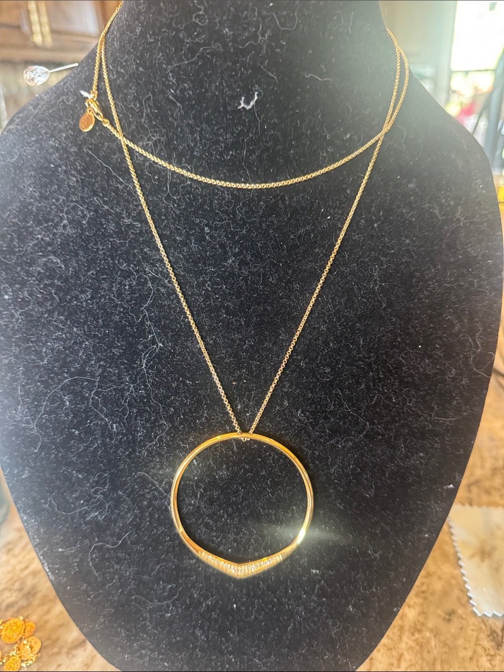 Gold Circle Pendant Layered Necklace - Women Jewelry